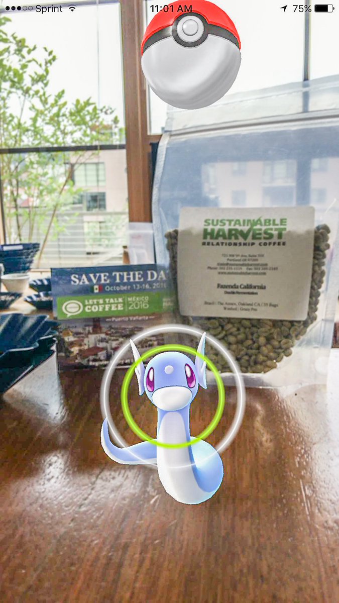 SustHarv's tweet photo. Even @Pokemon love #RelationshipCoffee #SHCuppingLab #PokemonGO #SpecialtyCoffee https://t.co/HD8hp5HSTO