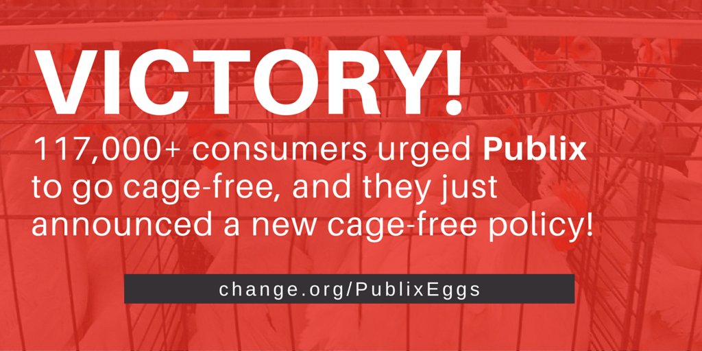 Change's tweet photo. BREAKING: @Publix just announced that it's going 100% #cagefree: https://t.co/Pr1Mdyowtm https://t.co/4hbAvmKgHJ