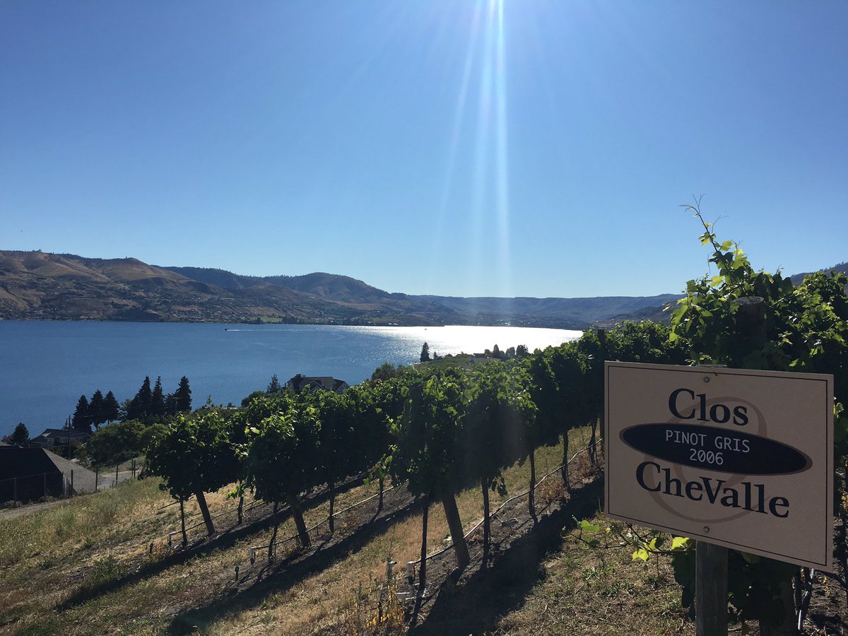 RockyPondWinery's tweet photo. Beautiful morning for a walk through our #closchevallevineyards #pinotgris #winelife https://t.co/H7v4wovopA