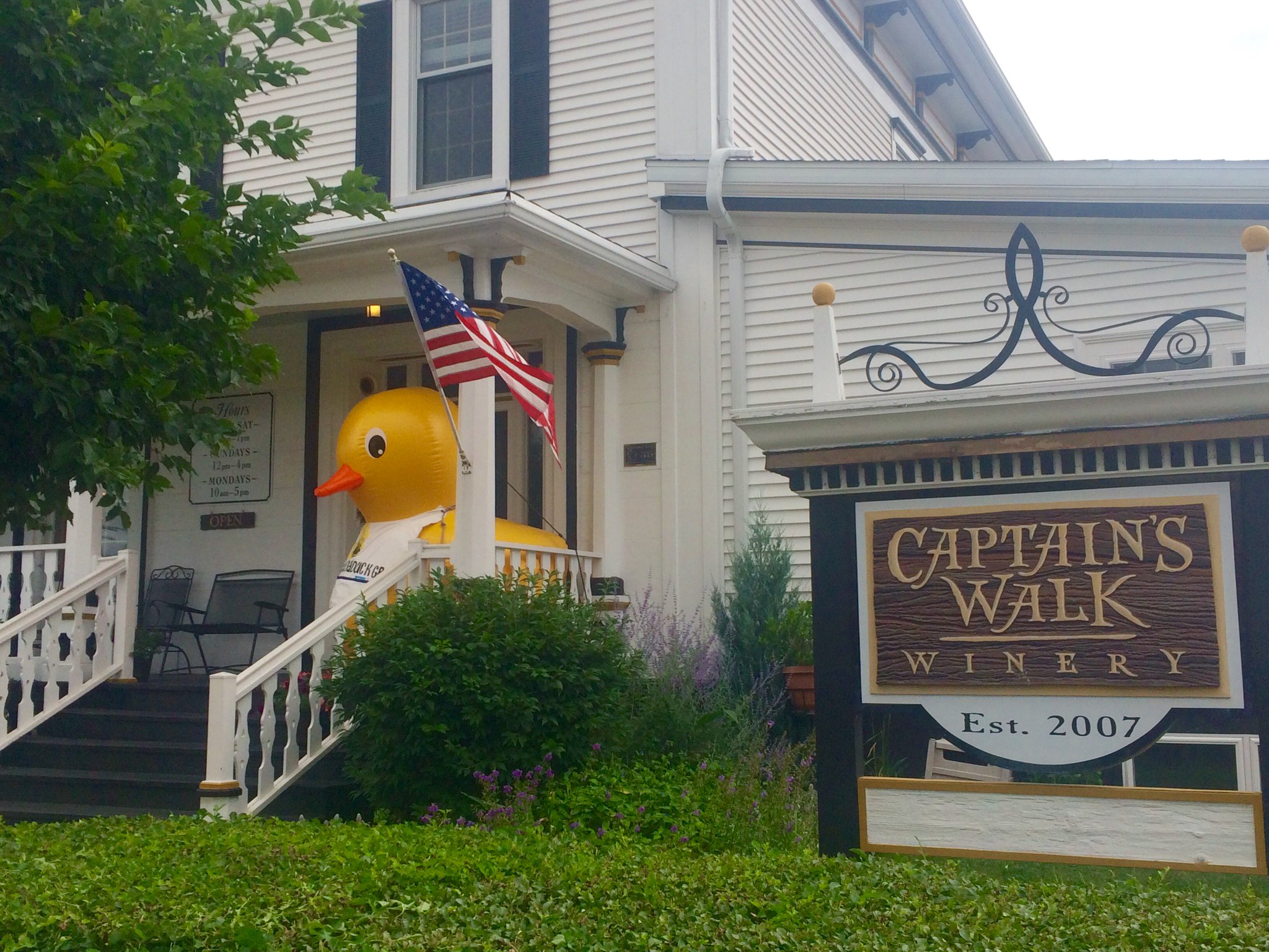Nicolet Bank Tall Ships On Twitter Get Your Selfie With Baby Duck At 