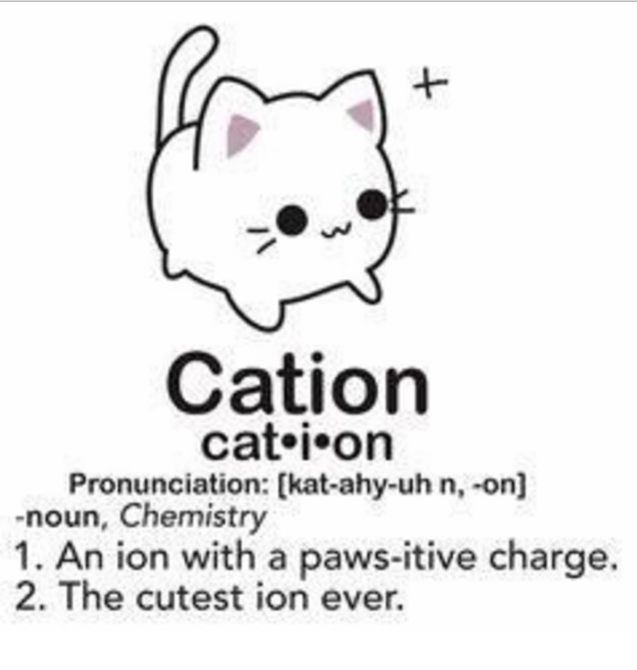 VHSScience's tweet image. Start the weekend with a good (bad?) chemistry joke!
#Friday #Chemistry #jokes