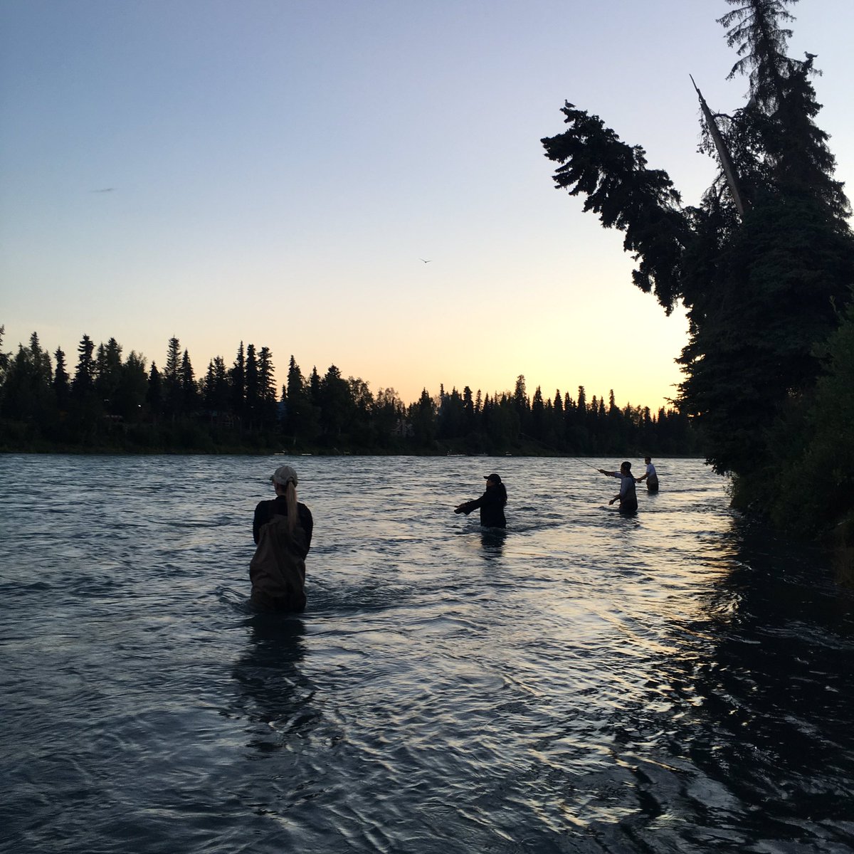 Mary_ElaineJ's tweet photo. Slayin some reds!! #bestfriendweek #alaska #staycation #kenai #bigfishlittlefish #midnightfishing @laurenkole https://t.co/swDNDRfbnG
