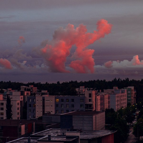 kurkista's tweet photo. #cloudcatching made easy from our living room - evening creature passing by #pinkmantis https://t.co/FPC8YaXzAl