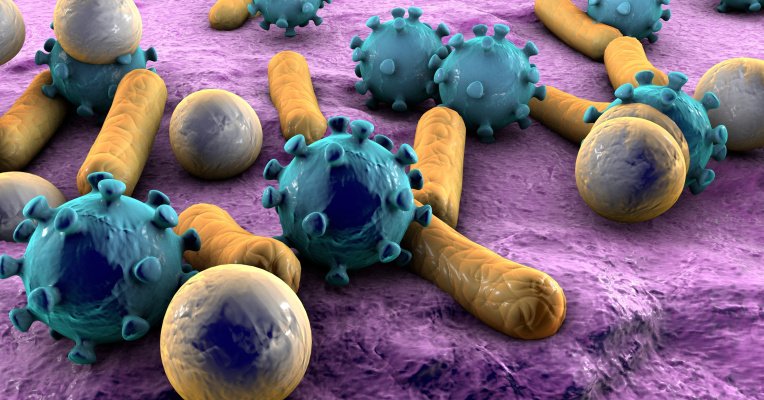 view autophagy cancer other pathologies inflammation