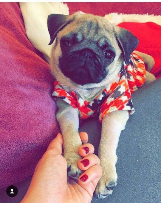 AnaPaul425's tweet photo. Meu Deus a ficha ainda nn caiu 💔 , vs vai deixar sdds pequena Potyra 
#ForçaKesta #Luto #Potyra https://t.co/ihGFusATcr