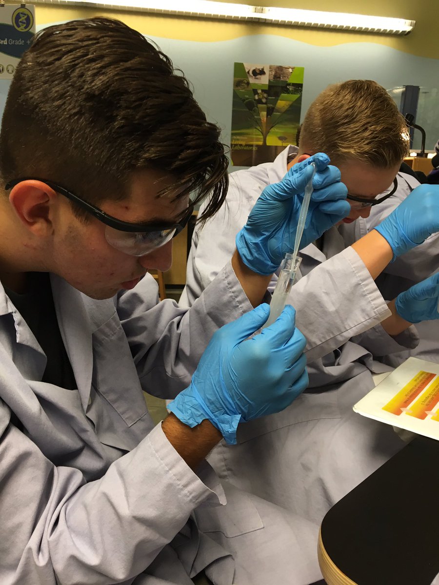 WMSgurney's tweet photo. @druryprecollege BodyWorks kids collecting DNA samples. https://t.co/hOq2VOOd8Z