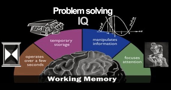 Did you know that WM is not STM? It manipulates information and can help determine successful learning! #brainfact