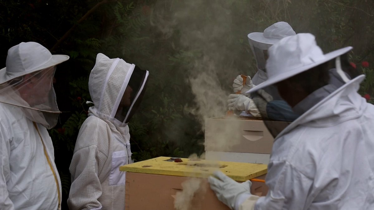 University Beat TV (@usfbeattv) on Twitter photo 