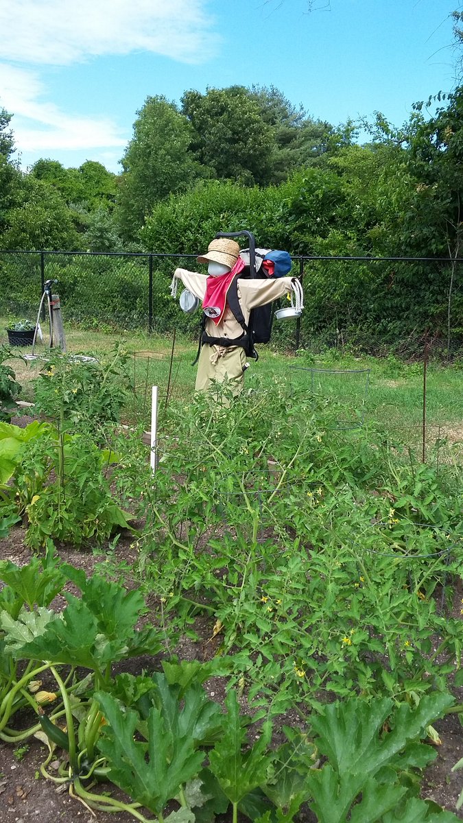 falmouthservice's tweet image. Just hanging out on this gorgeous day...#CapeCodGarden
