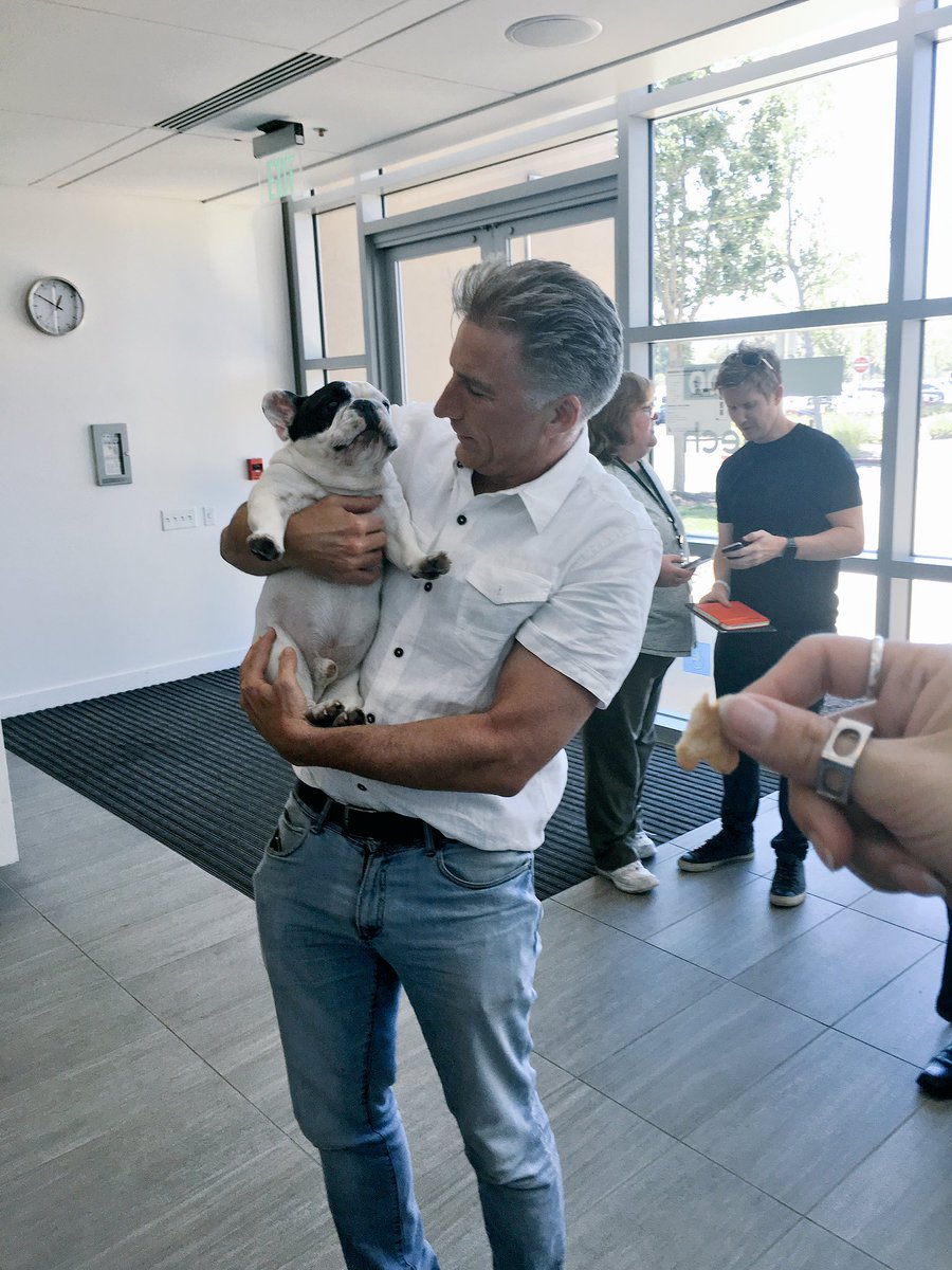 Manny The Frenchie tweet media