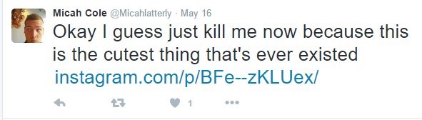 Drew Flowerday tweet media