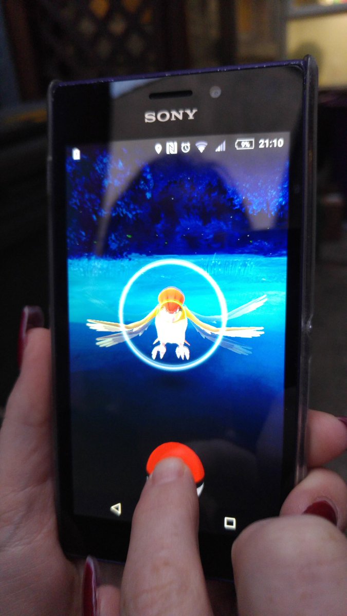 Pokemon are rampaging through our garden! Hope they have ID! lol