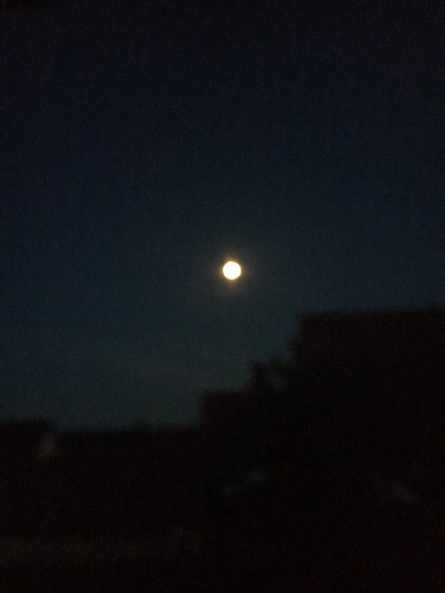 Linxsingr's tweet image. 