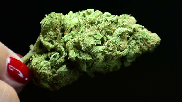 NoticiasMarihua's tweet photo. #cannabis #marihuana #Sexo #salud
¿Sabes lo qué le pasa a tu vagina al fumar marihuana? https://t.co/BZMV0dt8r3 https://t.co/BmcAEQPYk5