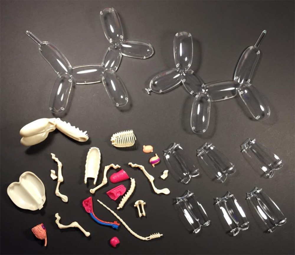 thisiscolossal's tweet photo. DIY balloon dog anatomy models by Jason Freeny now in the @ColossalShop! https://t.co/Lr82wzcVxA https://t.co/4xOrfdE3iK