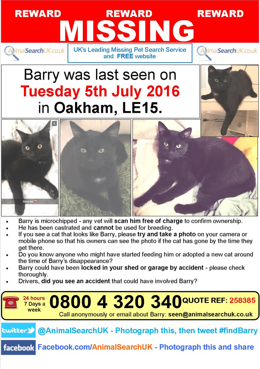 AnimalSearchUK's tweet photo. PLZ RT @VetPractitioner @Medivet_UK #missingcat #oakham #rutland #LE15 #findbarry
https://t.co/8d4Ug9eHAr https://t.co/hknm4ihWs5