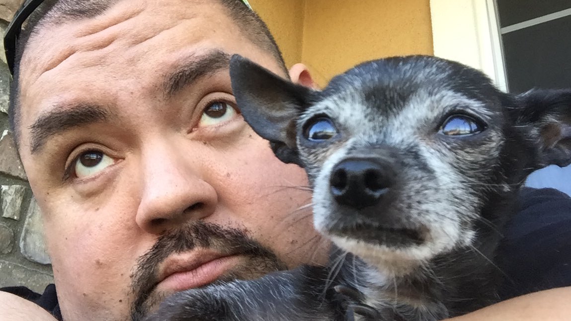 G a b r i e l - I g l e s i a s tweet media