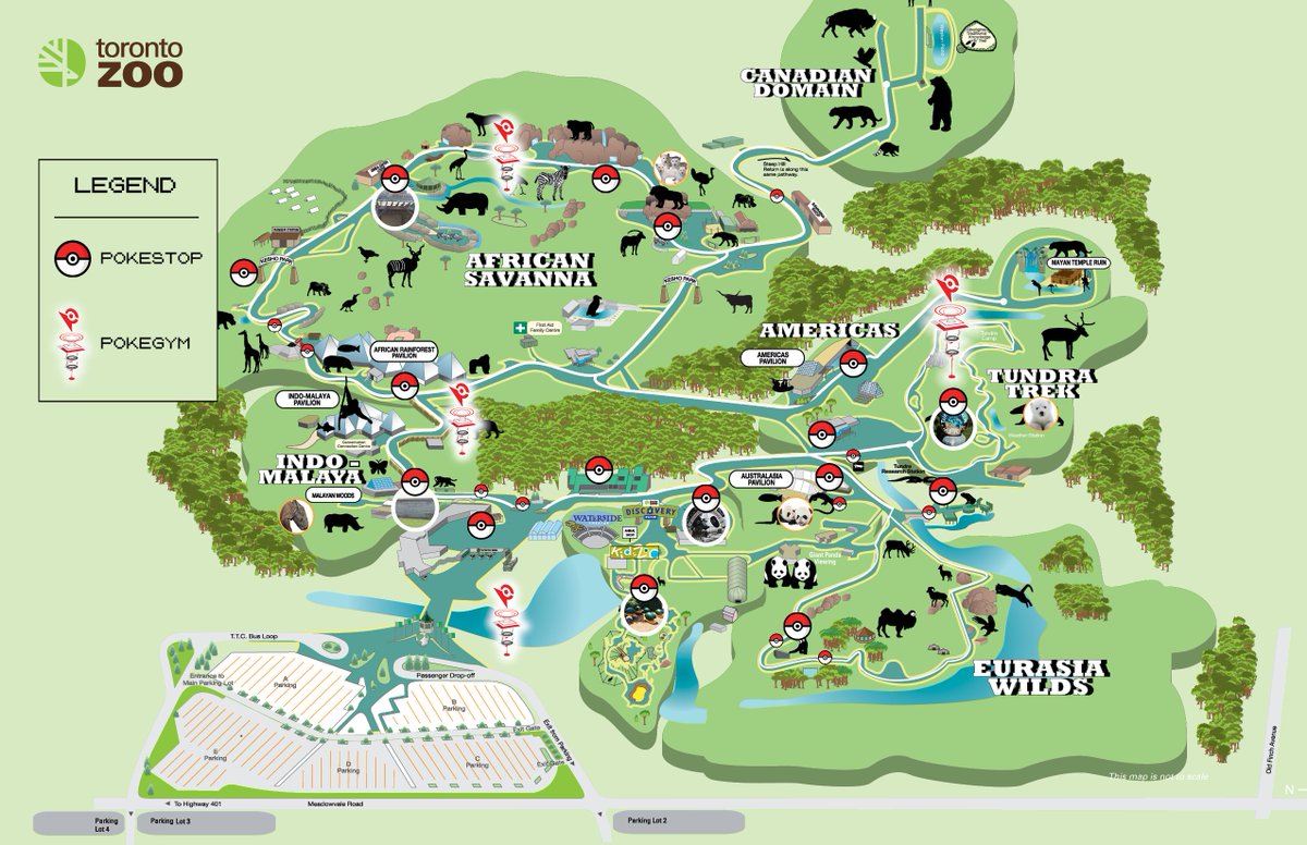 Toronto Zoo Reviews