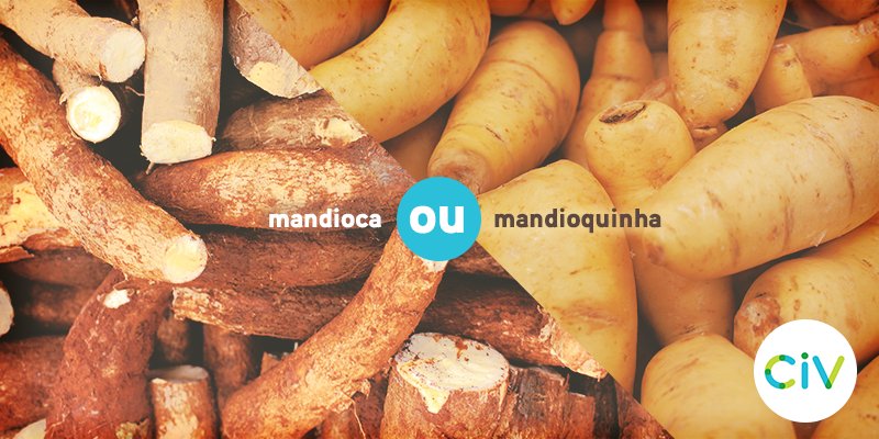 Civonline_'s tweet photo. #Legumes típicos do #inverno que possuem muitas vitaminas e são ideais para o preparo de sopas e caldos. #DicaCiv https://t.co/Kw4C2RgHhS