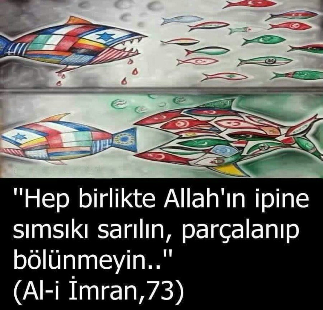 therock72fd's tweet photo. #darbe #ankara #trt1 https://t.co/TAXATklnVD