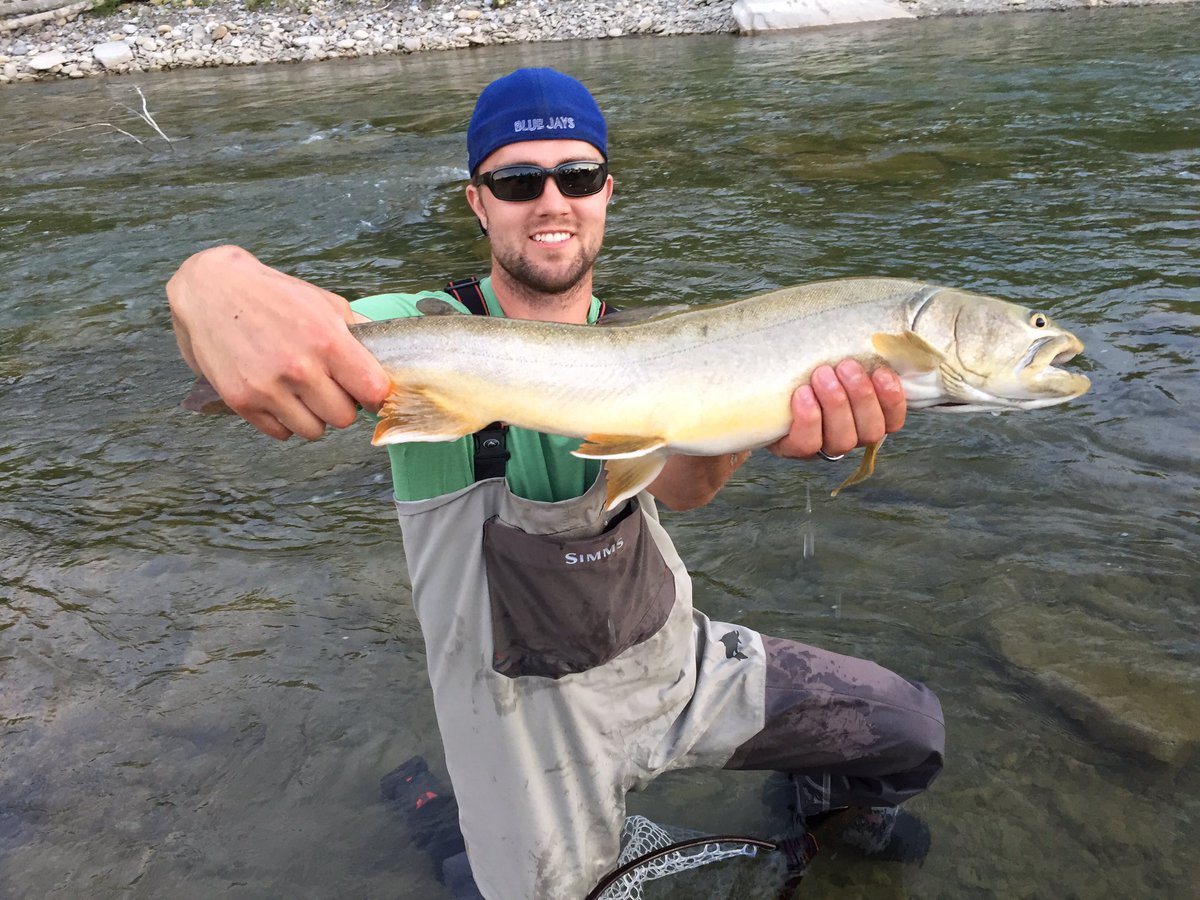 TheGeneralLEE10's tweet photo. Hooked this big guy first day out with my new rod. #Bentrod #AlbertaFishing #Rockies #bulltrout https://t.co/Dj5et94QLL