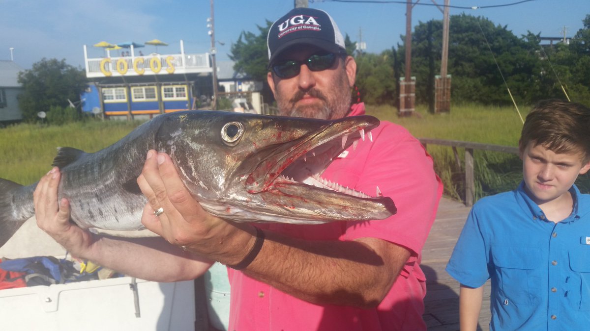 oconeeriverrat's tweet photo. Represent the #G while catching the #cudda and some #blackseabass https://t.co/JM8ZRELYpJ