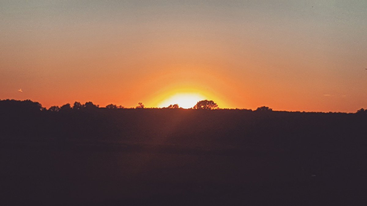 Maggiearte's tweet photo. https://t.co/Afl1RnuKqZ
#STILLIRISE #peace #nice #turkey #coup #stop #mayaangelou #poem #Sunset #senseofpeace https://t.co/6nYuZKx05J