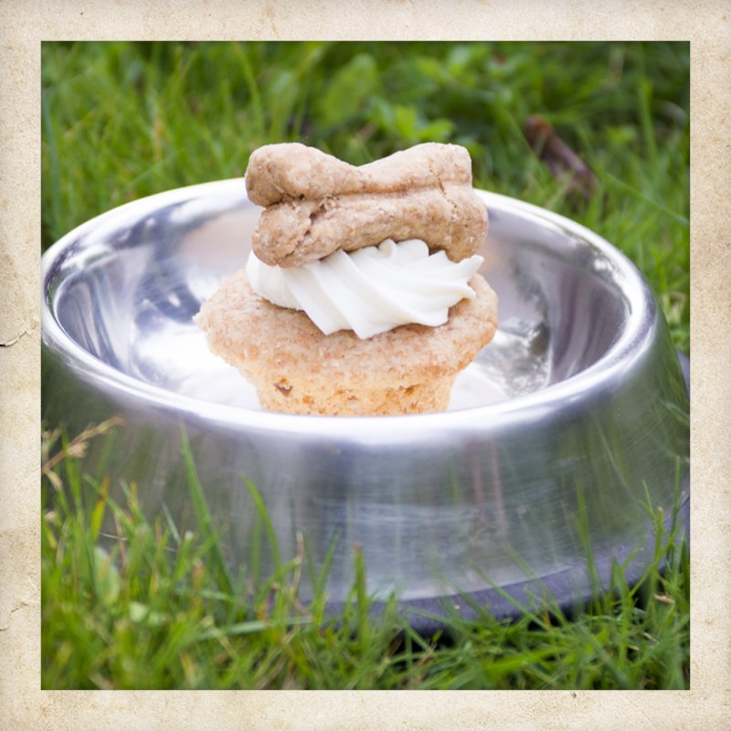 ThriftyFoods's tweet photo. We know how special #FurBabies are, so we made a 'Pupcake' recipe just for them! https://t.co/c5oYC1a3KE #WePickBC https://t.co/U3I8U4wo1Z