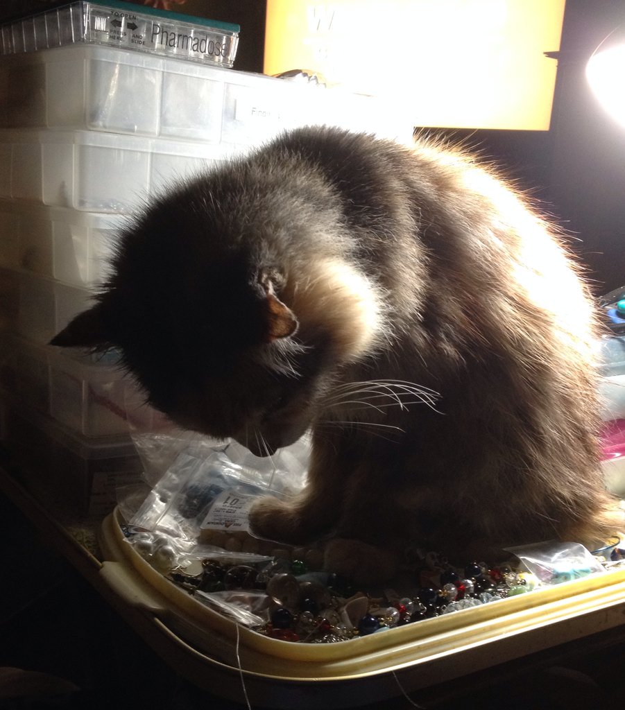 ABettyWhite's tweet photo. Selling earrings, catnip toys &amp; other items! Prices greatly reduced! https://t.co/QBEytAi09Y https://t.co/7CrpkzKG2B