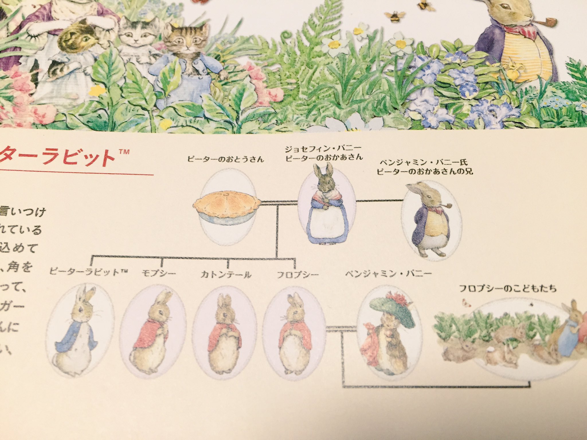 Miyo Sato Twitter पर ピーターラビットの家系図は ちょっとドキッとする ピーターのお父さんはマグレガーさんの畑で事故に遭い マグレガーさんの奥さんに肉のパイにされてしまった T Co 999a6xt4nn Twitter
