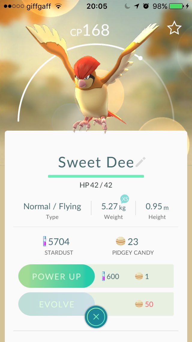MariLwyd91's tweet photo. @TeamMysticPGO Not a catch but I evolved this bird today. https://t.co/4XoIWzPiOP