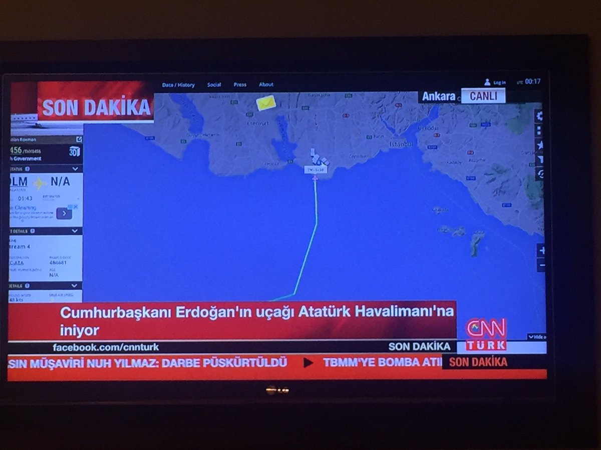 Ceylan Yeginsu tweet media
