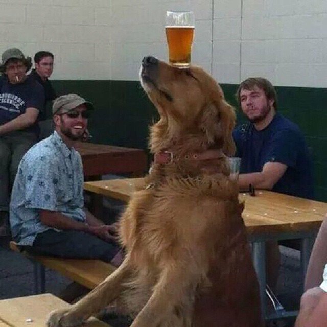 FindMyDrunkFriends tweet media