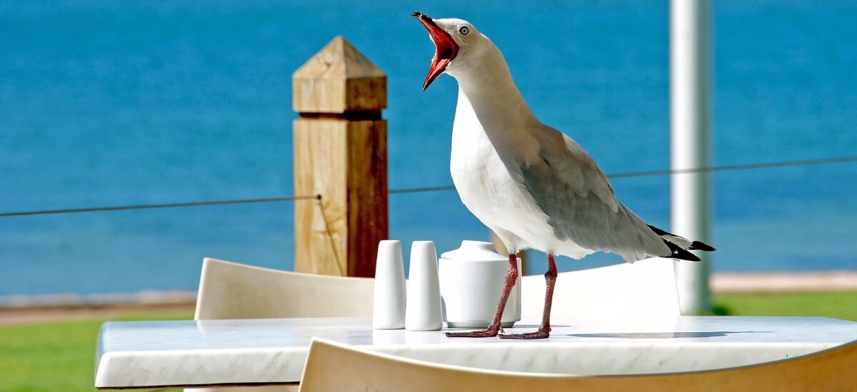 You may be failing at Twitter, and here's 6 reason why: ow.ly/gKhX302gdOI