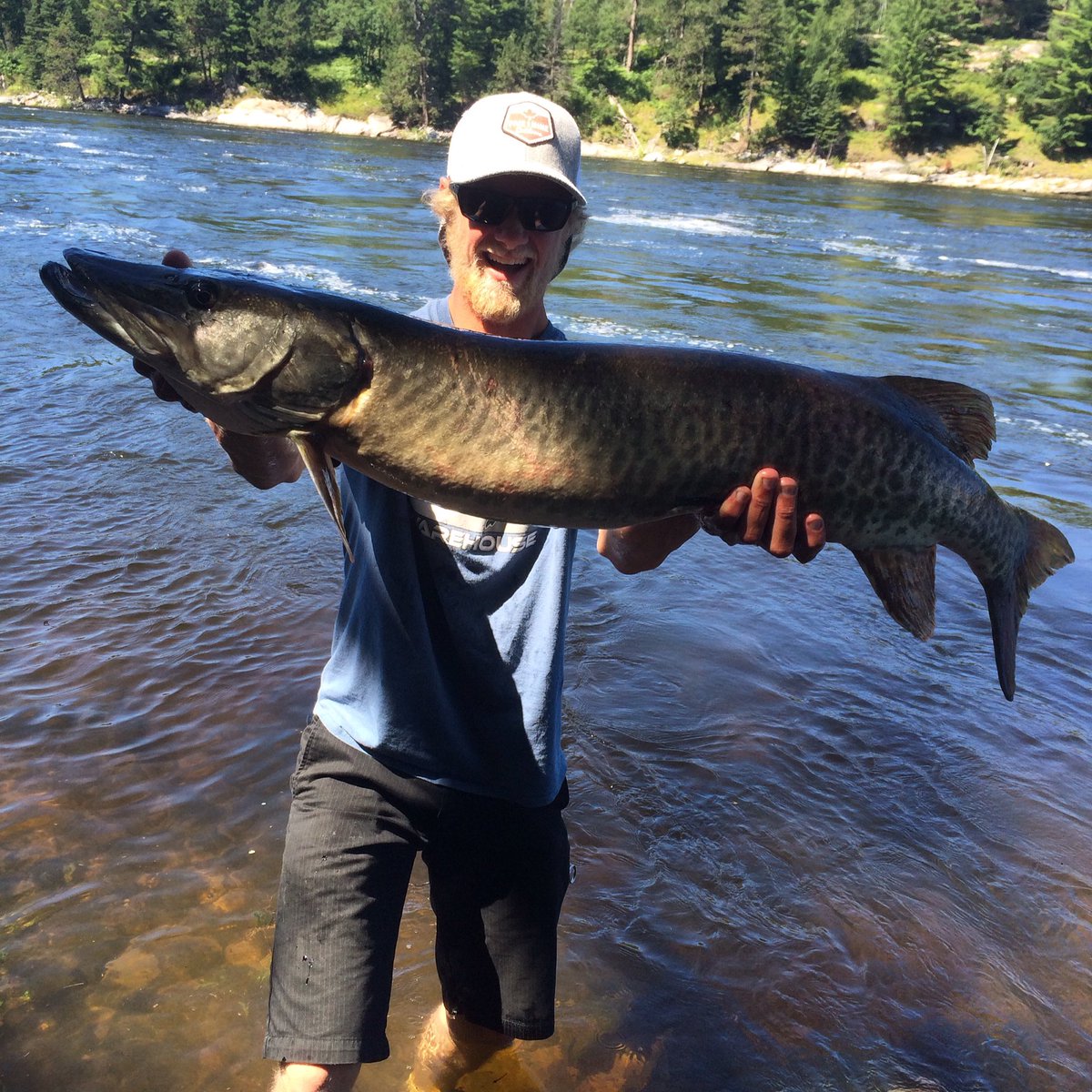 SpennyFish's tweet image. What an amazing fish, gotta love kenora. #BeautySki