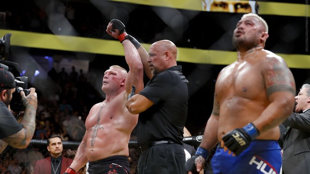 arielhelwani tweet picture