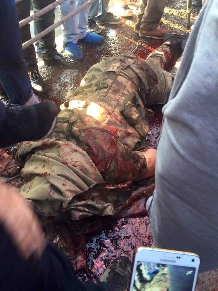 kurtt_adammm's tweet photo. Ağaca selam dur denildiğinde bile mantık aramaz durur!Siz askerimizi emir komutaya uyduğu için öldürdünz!O.çocukları https://t.co/6GqXZmskBx