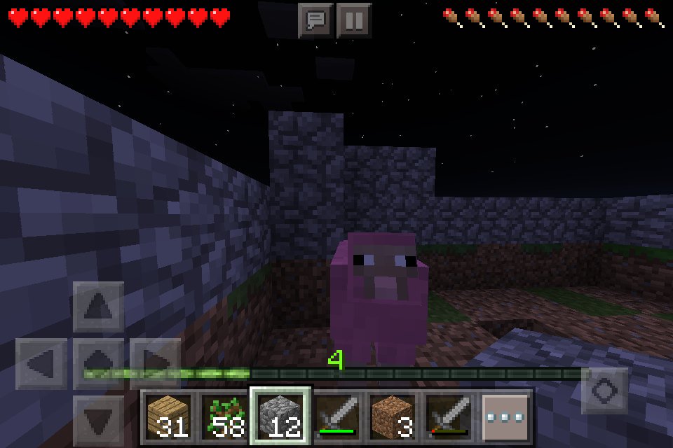 theawesomeman6's tweet image. I found a pink sheep randomly spawning in my world OMG #pinksheepvisit