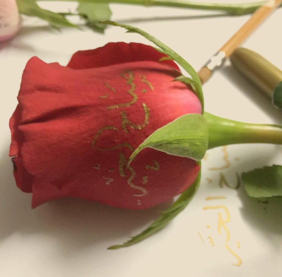 fff889988's tweet photo. صباح الورد 🌷🌷 https://t.co/0FMEKbbAOV