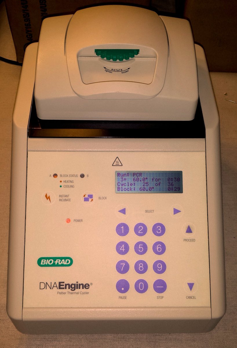 UtahBiotech's tweet photo. #Biorad #thermalcycler #thermocycler #PTC200  #PCR
Got DNA? Need more?Tested and verified https://t.co/2GGLBrqVA5. https://t.co/Tjw8Lwm7tx