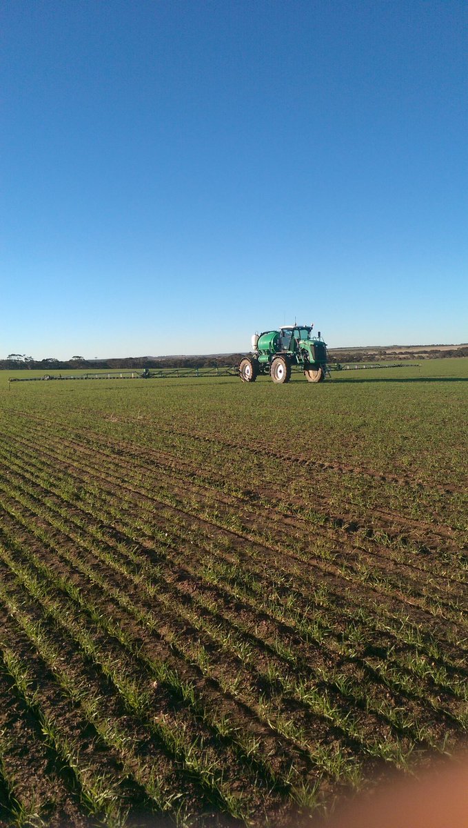 ClayePeters's tweet photo. Out smashing the hectares #cropcruiser #goldacres https://t.co/rtgTcXuIgl