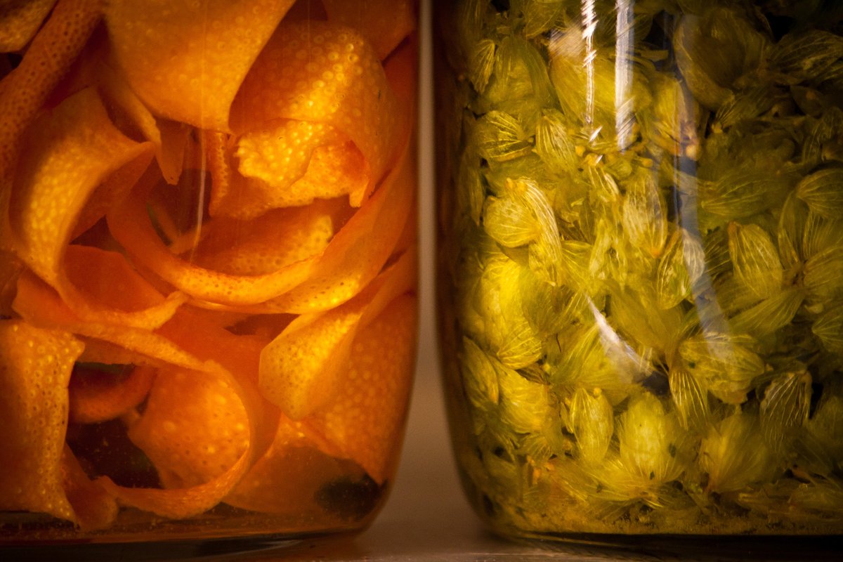 IN MACERATION: Golden Special Grapefruit &amp; Motueka Hops
<a href="/TwistedCitrusNZ/">Twisted Citrus</a> 
#ElementalBitters #ComingSoon #handmade