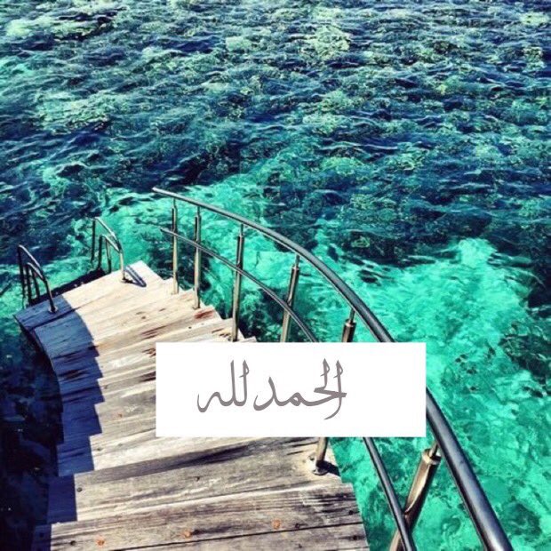 Bahrawy___'s tweet photo. "وَالبَاقِيَاتُ الصَّالِحَاتُ خَيْرٌ عِنْدَ رَبِّكَ ثَواباً وَخَيْرٌ أَمَلاً"...🌿🍃 https://t.co/NnLbHacqp2