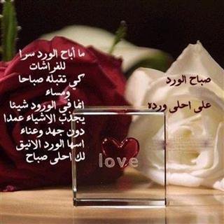 صباح الورد على احلى وردة