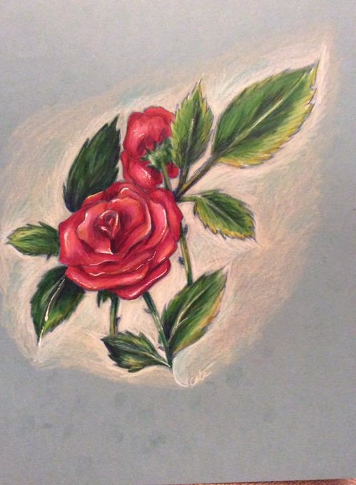 Drawing Stylized Roses: The&nbsp;Process https://t.co/1Leu00eWTI https://t.co/ThrGHY2x60<a href="/tag/freelancing"class="tags"><span>#freelancing</span></a><a href="/tag/workathome"class="tags"><span>#workathome</span></a>