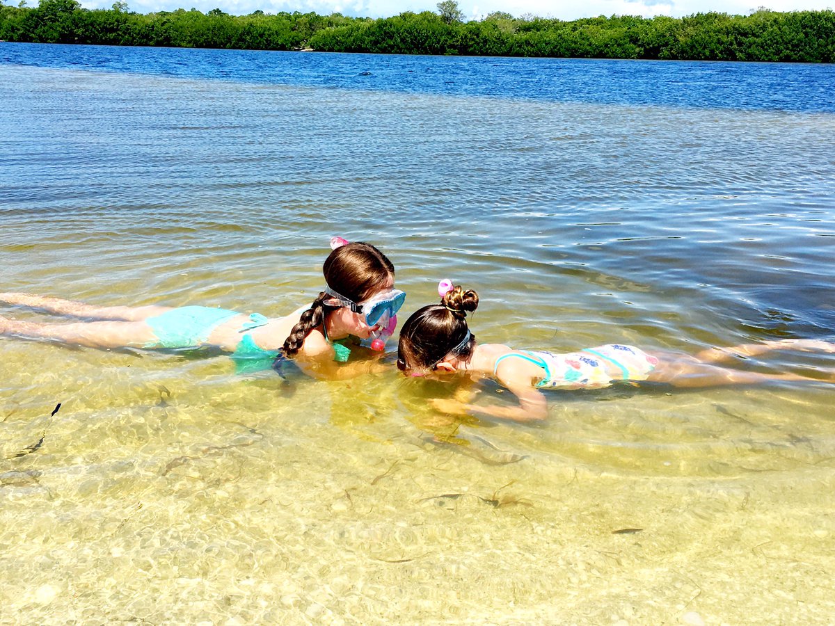 _MistyWalker's tweet photo. Our beach day is finding an island nobody is at, put the power poles down & enjoy! #SeashellHunting #SnookCatchingβοΈ https://t.co/ZdkRgev31w