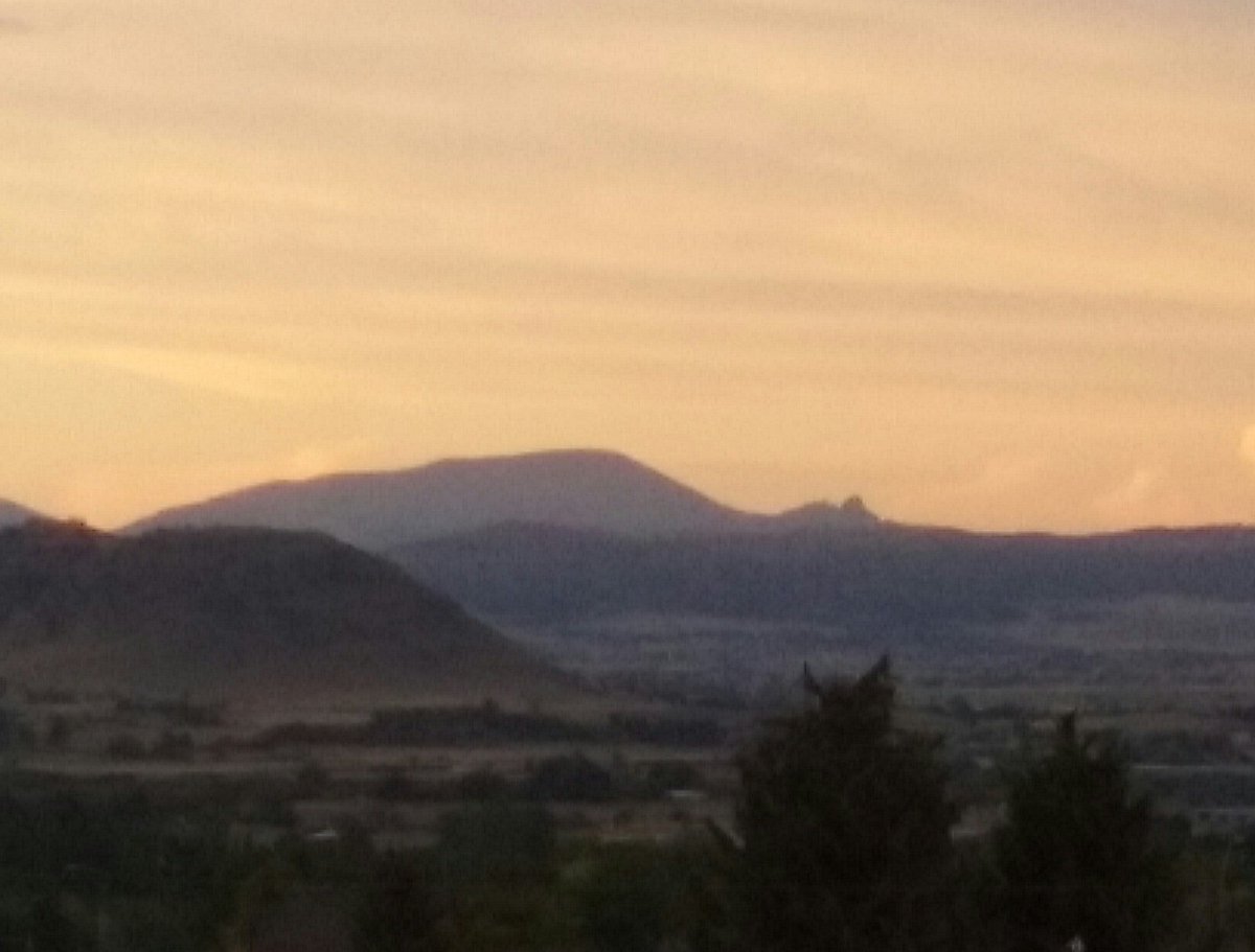 KayBear ☮ tweet media