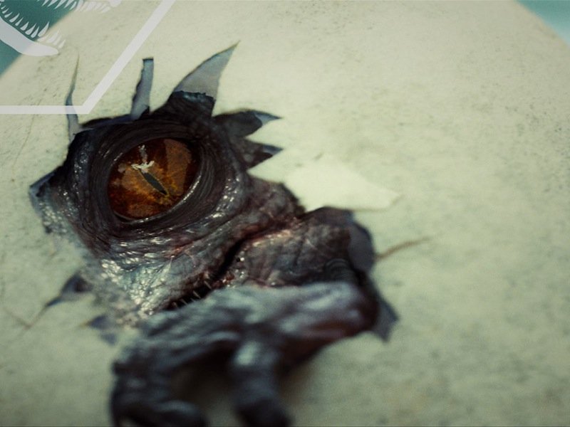 Playing God may soon turn into meeting the Devil.

Nature is unbalanced. 

Nature is hungry.

#HurricaneOmega