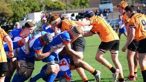 NSWWaratahs's tweet photo. Good luck to the U15s & 16s teams & U17 & U18 City v Country teams in this wkend's Regional tournament #futureTahs https://t.co/13EpWk0nTe