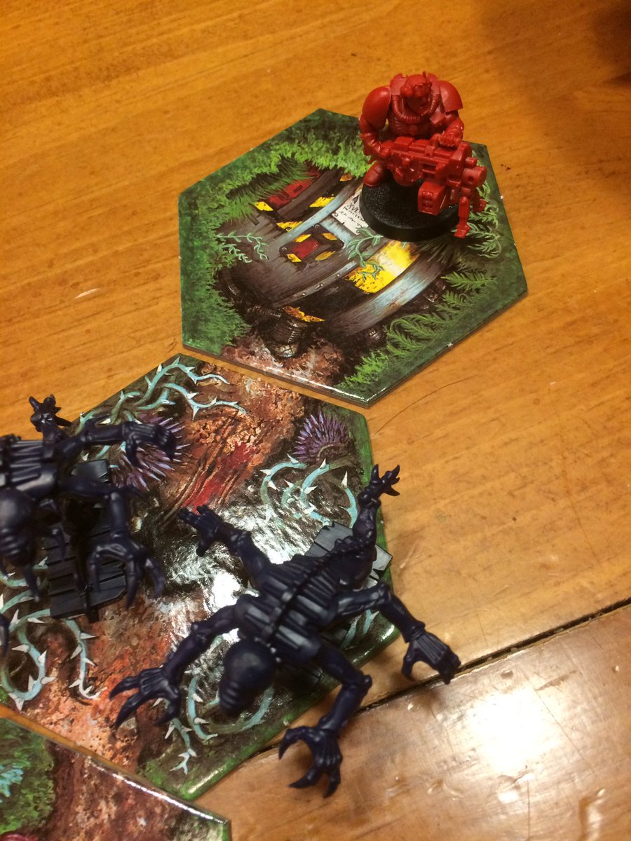 Sweetwilly394's tweet photo. Nic, @ReshkinCom , wins by rolling '5' a draw &amp; he falls back onto the drop ship, for the win! The Emperor protects! https://t.co/7ygLTiPwVt
